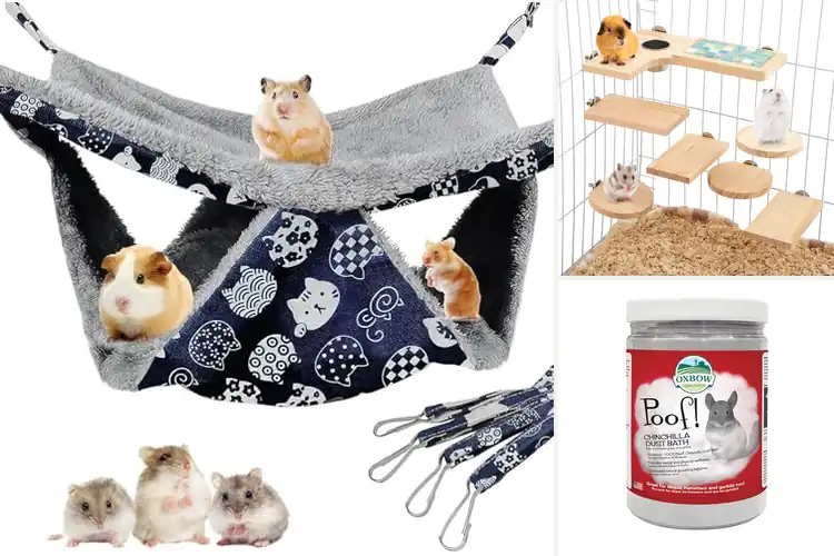 Detailed view of Best Chinchilla Accessories