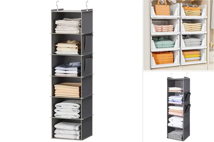 Detailed view of Best Closet Organizers