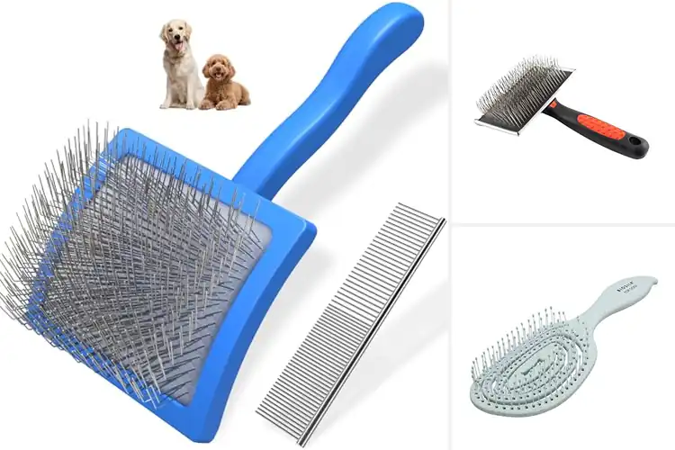 Detailed view of Best Curly‑Coated Dog Brushes for Healthy Fur