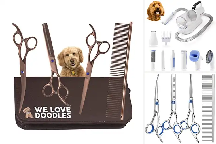 Detailed view of Best Doodle Grooming Kits for Stress-Free Care