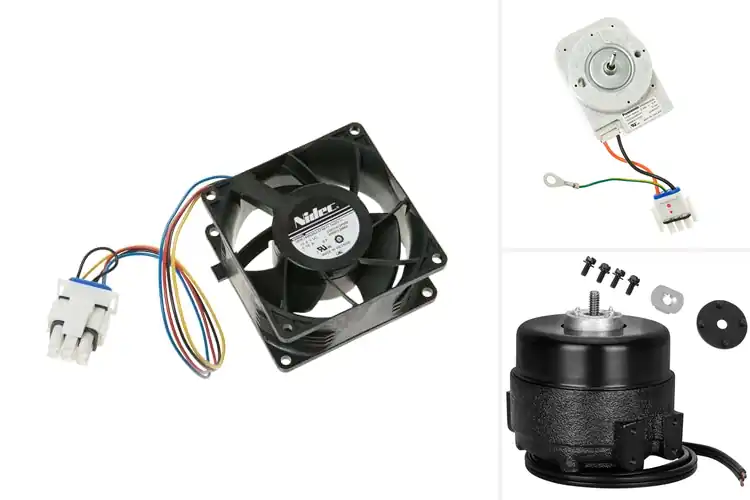 Detailed view of Best Evaporator Motors