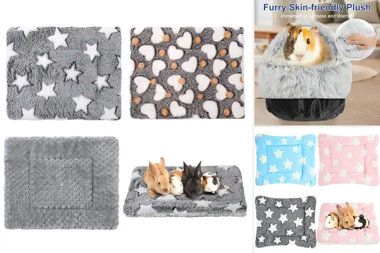 Detailed view of Best Guinea Pig Beds: 10 Cozy Picks for Happy, Comfy Pets