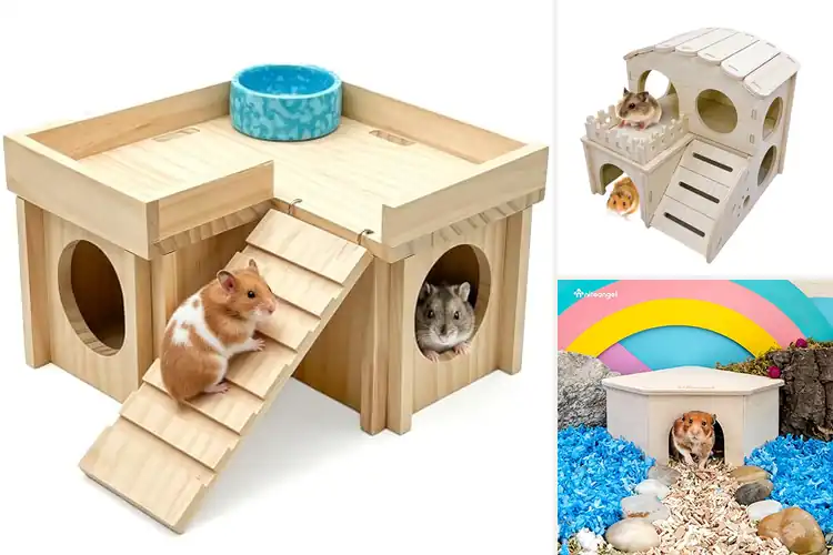 Detailed view of Best Hamster Hideouts: 10 Fun & Cozy Options for Your Pet