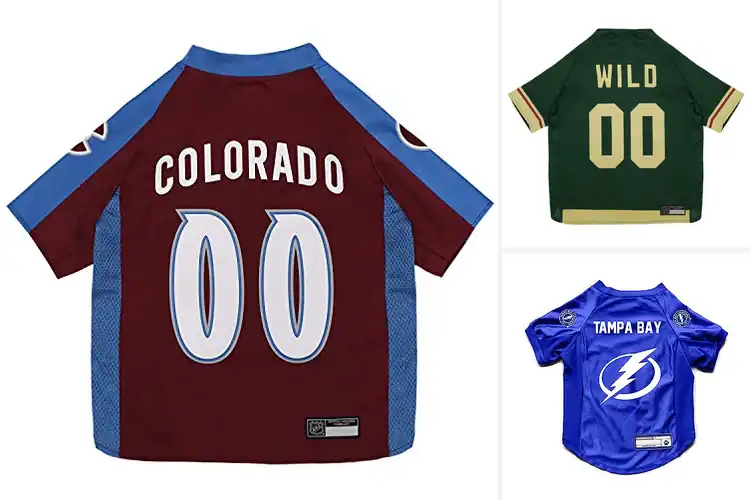 Detailed view of Best NHL Pet Jerseys: Top 10 Picks for Team Spirit