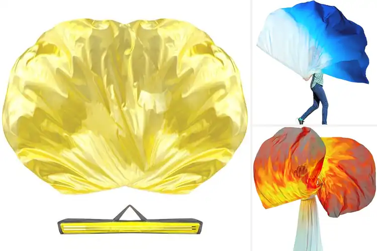 Detailed view of Best Praise Dance Flags