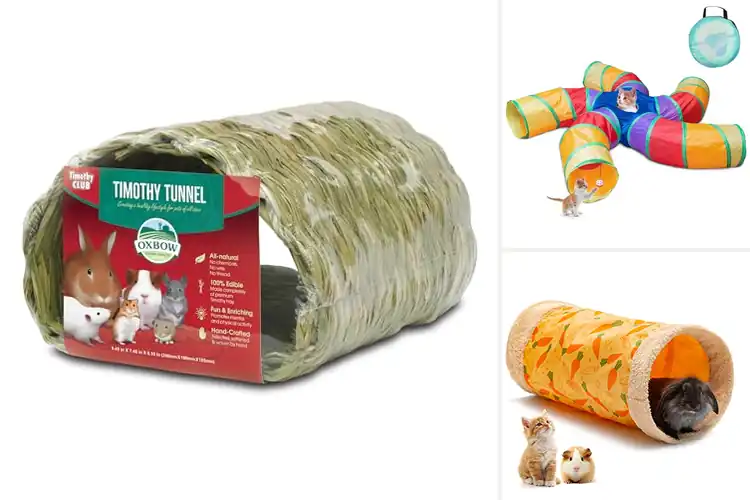 Detailed view of Best Rabbit Tunnels: Top 10 Safe & Fun Options for Your Pet