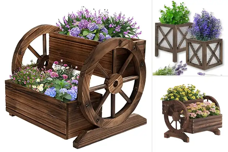 Detailed view of Best Rustic Planters: Top 10 Picks for Timeless Charm